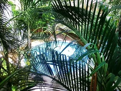 Maya Del Carmen Hotel