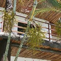 Hotel Maya Del Carmen